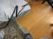 DSCN0095